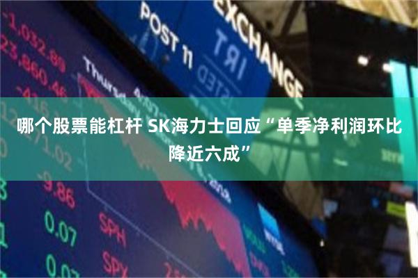 哪个股票能杠杆 SK海力士回应“单季净利润环比降近六成”