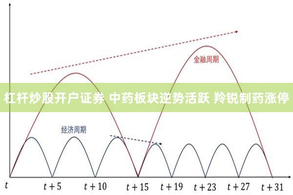 杠杆炒股开户证券 中药板块逆势活跃 羚锐制药涨停